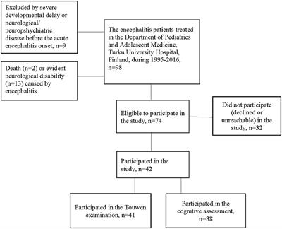 Neurological and Cognitive Performance After Childhood Encephalitis